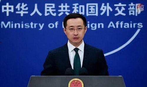 娱乐吃瓜委会副会长